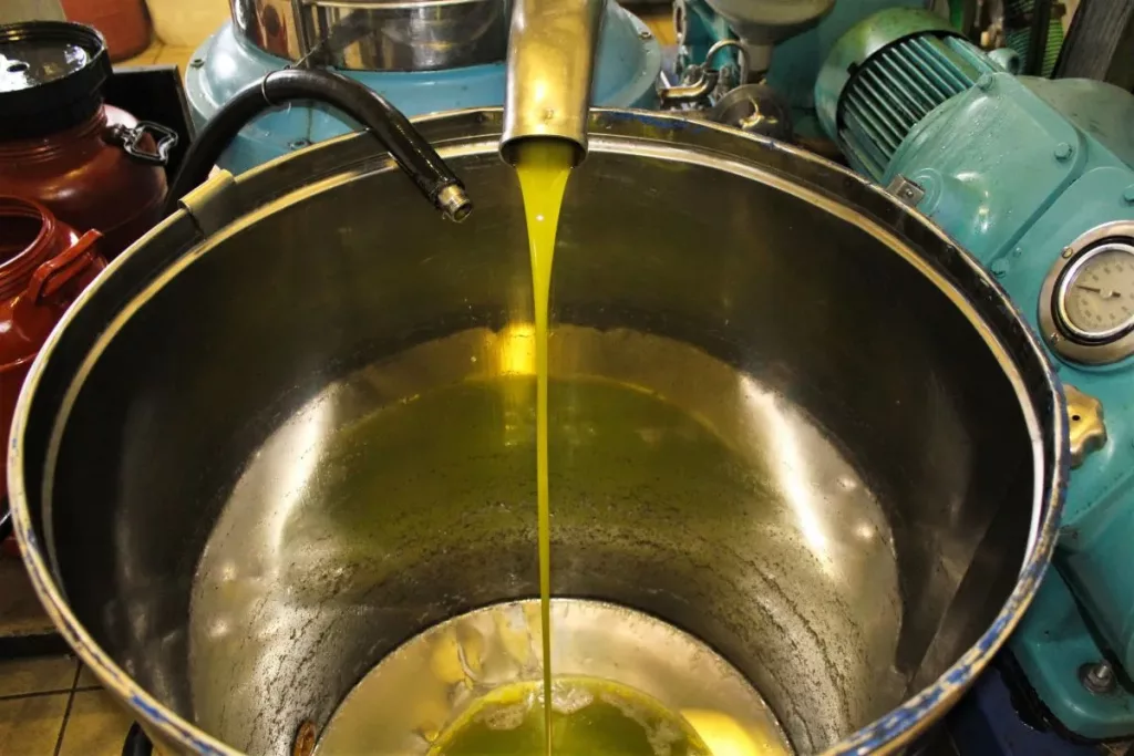 extraccion-aceite-de-oliva-aove-pydasa